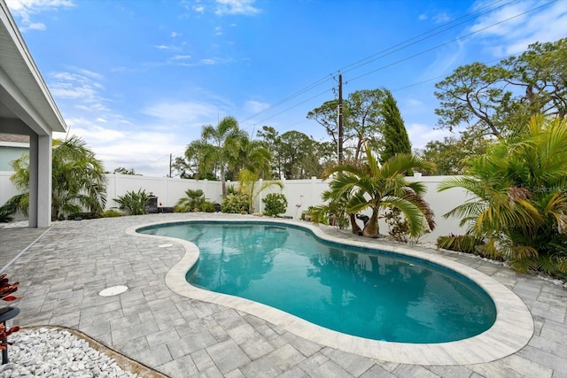 view of swimming pool featuring a fenced in pool, a patio area, and a fenced backyard