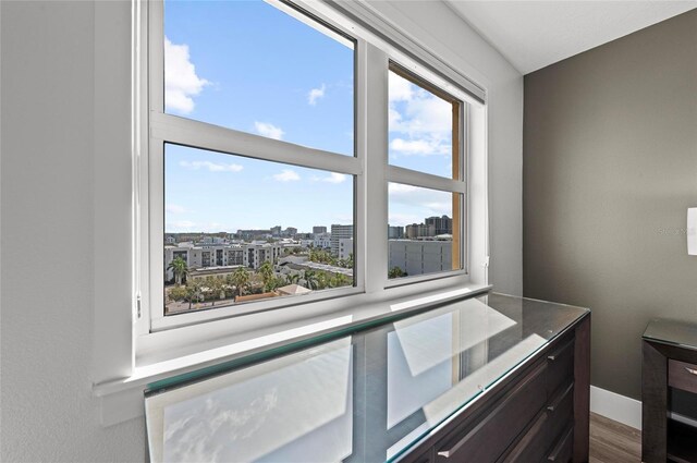 bathroom featuring a view of city, a healthy amount of sunlight, vanity, and wood finished floors