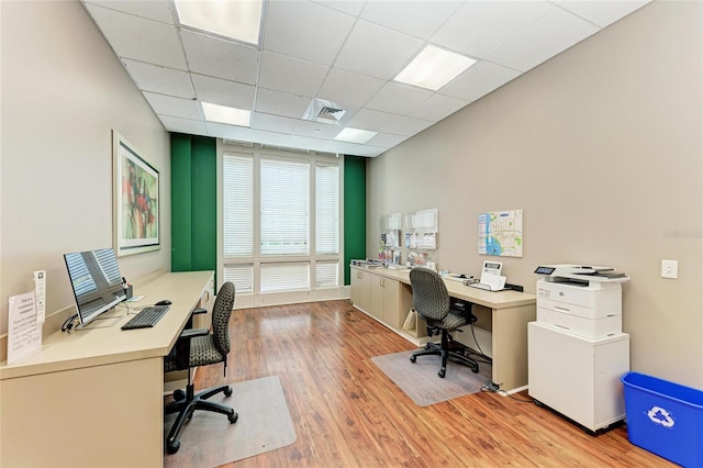 office space featuring visible vents, a drop ceiling, and light wood finished floors