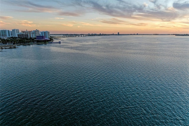 water view featuring a view of city