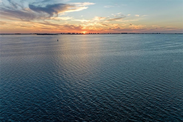 property view of water