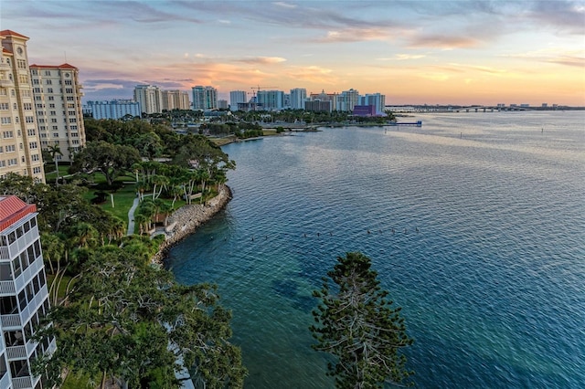 water view with a city view