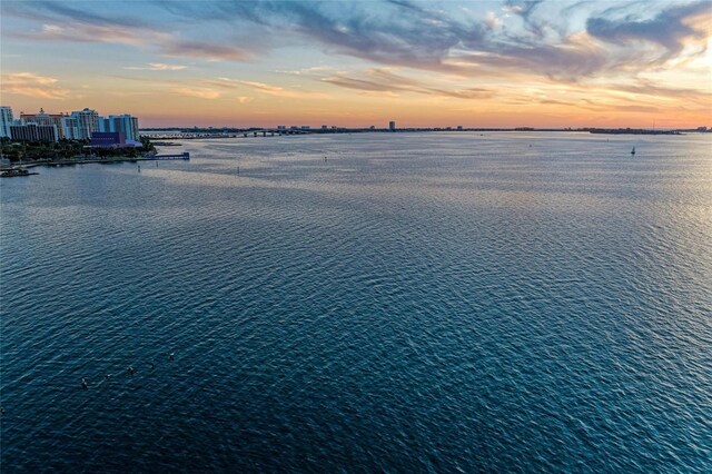 property view of water featuring a view of city