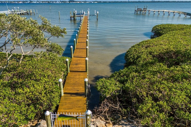 dock area with a water view