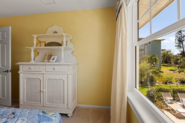 interior space featuring baseboards and carpet floors