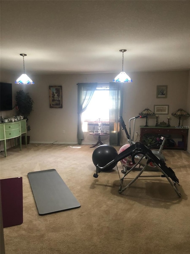 workout area with carpet flooring