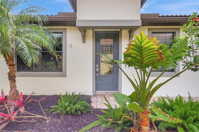 view of exterior entry with stucco siding