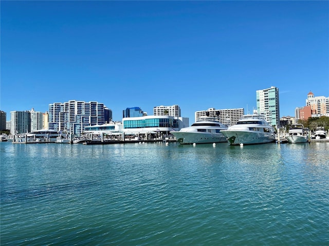 view of water feature with a city view