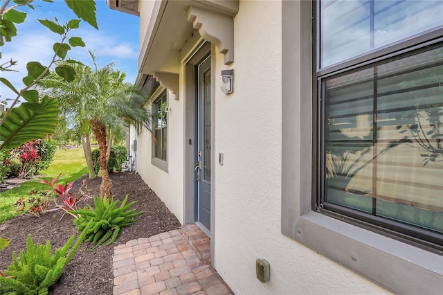 doorway to property featuring stucco siding