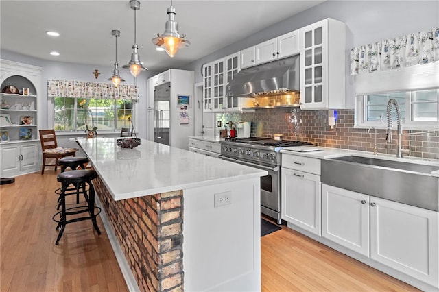 kitchen with light wood-style floors, premium appliances, a center island, under cabinet range hood, and a sink