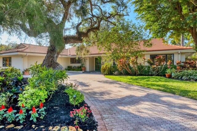 1610 S Lake Shore Dr, Sarasota, FL 34231 - ranch-style home featuring a tile roof, a front yard, driveway, and stucco siding