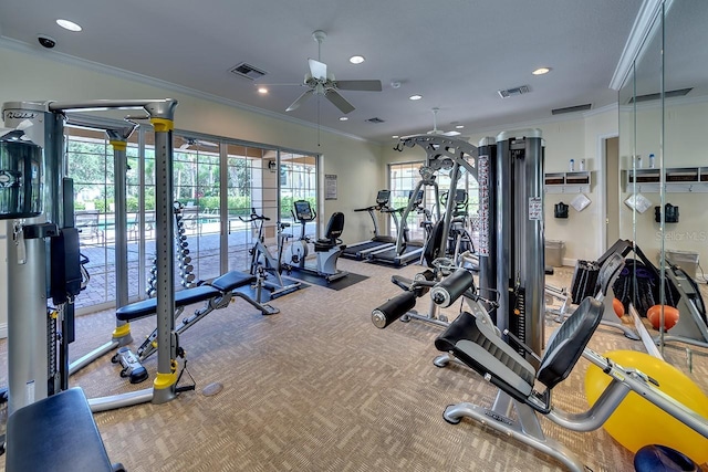 exercise room with ornamental molding, carpet, and visible vents