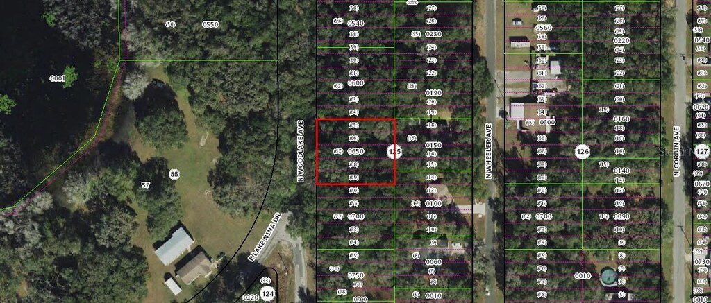 481 N Woodlake Ave, Inverness, FL 34453 - photo 1