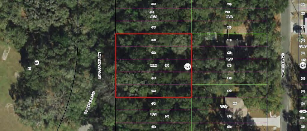 481 N Woodlake Ave, Inverness, FL 34453 - photo 2