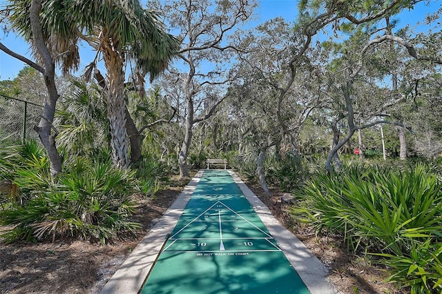 view of community featuring shuffleboard