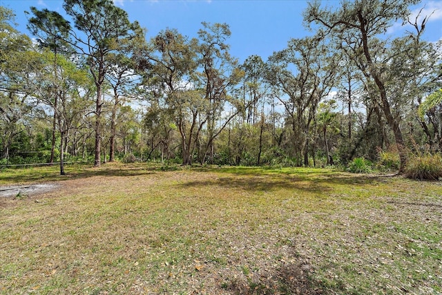 view of yard with a wooded view