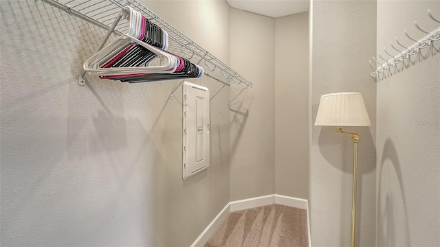 spacious closet with carpet flooring