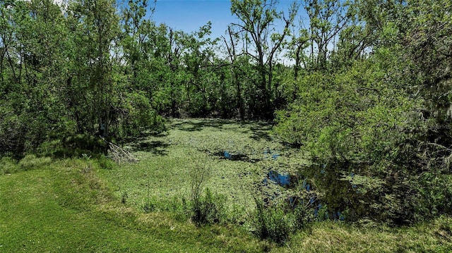 view of local wilderness with a view of trees