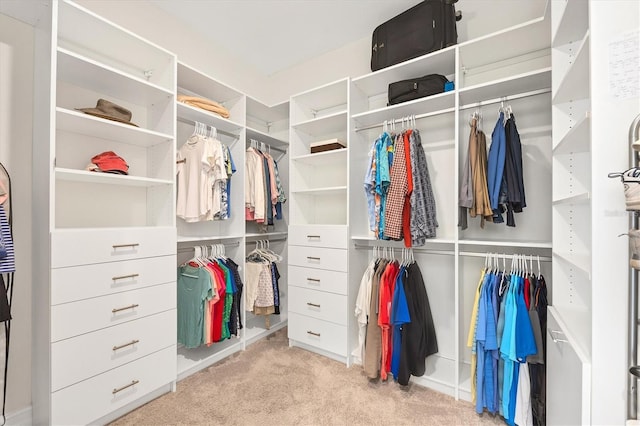 spacious closet with carpet