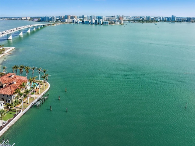 bird's eye view featuring a water view and a city view