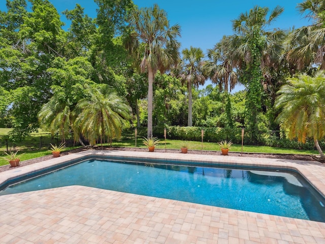 3648 Beneva Oaks Blvd, Sarasota, FL 34238 - photo 34