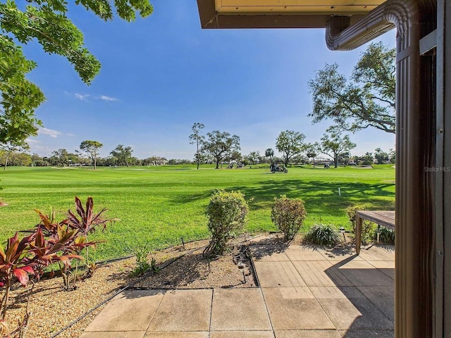 view of yard featuring a patio