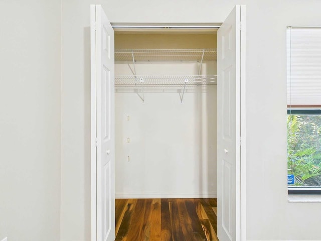 view of closet