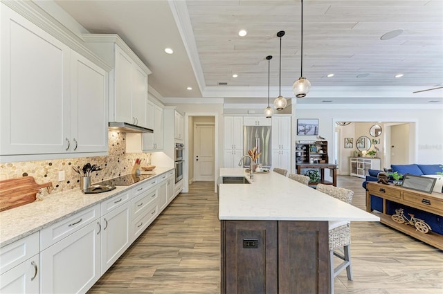 kitchen featuring a breakfast bar, a tray ceiling, stainless steel appliances, backsplash, and under cabinet range hood