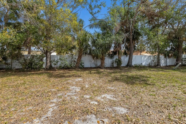 view of yard featuring a fenced backyard