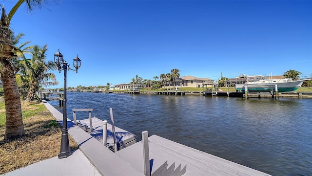 dock area with a water view