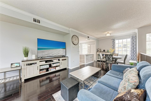 living area featuring a textured ceiling, wood finished floors, visible vents, baseboards, and ornamental molding