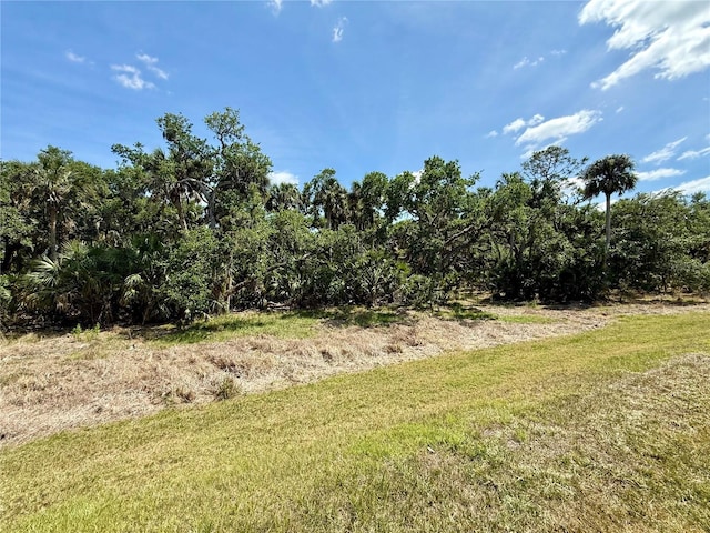 10179 Milky Way Cir, Sarasota, FL 34241 - view of local wilderness