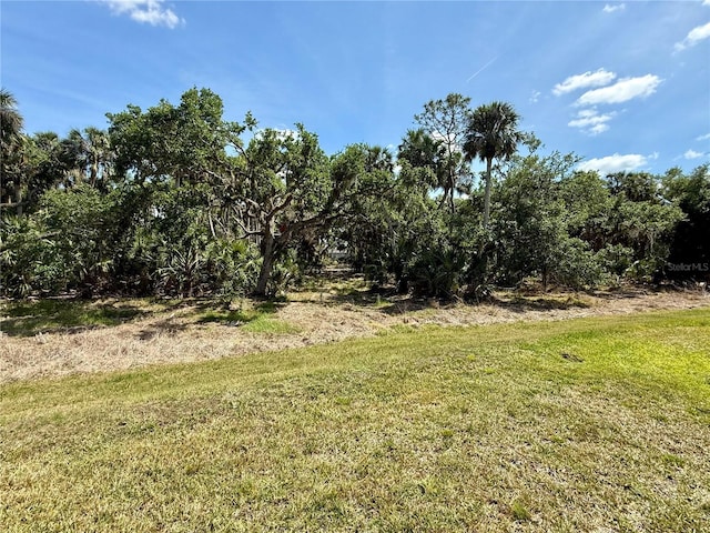 10179 Milky Way Cir, Sarasota, FL 34241 - view of yard