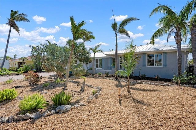 ranch-style home featuring a standing seam roof, metal roof, and stucco siding