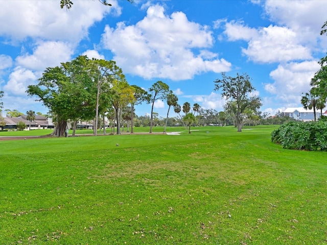 view of home's community featuring a yard