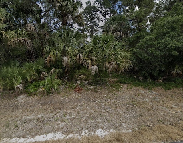 352 Arbor St, Port Charlotte FL, 33953 land for sale