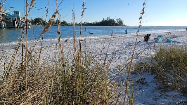 view of water feature featuring a view of the beach