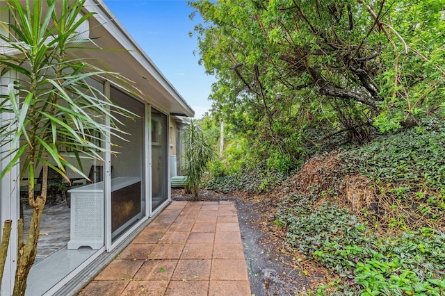 view of yard with a patio