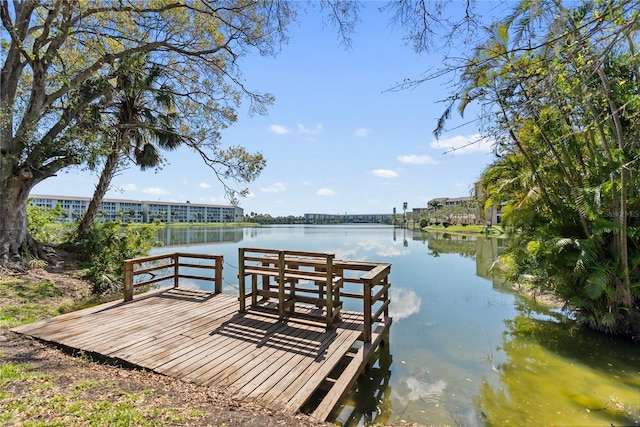 dock area featuring a water view