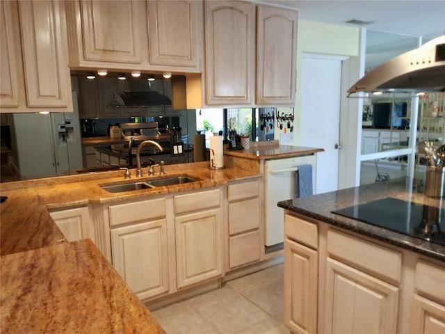 kitchen with light stone countertops, white appliances, ventilation hood, and a sink