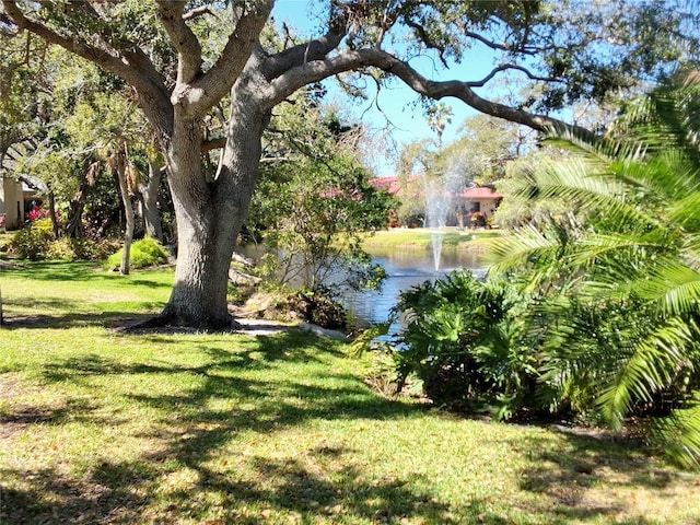 view of yard featuring a water view