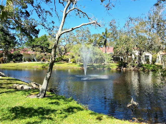 view of water feature