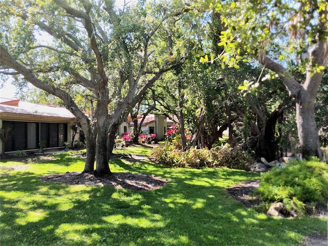 3818 Sun Eagle Ln, Bradenton, FL 34210 - view of yard