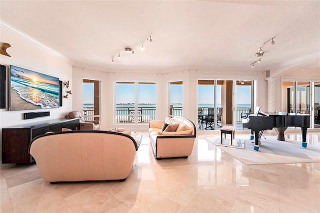 living area featuring decorative columns, ornamental molding, and track lighting