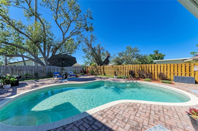 view of pool featuring a fenced in pool, a patio, and a fenced backyard