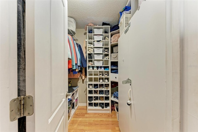 walk in closet featuring wood finished floors