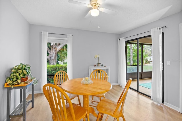 dining room with light wood finished floors, plenty of natural light, and a textured ceiling