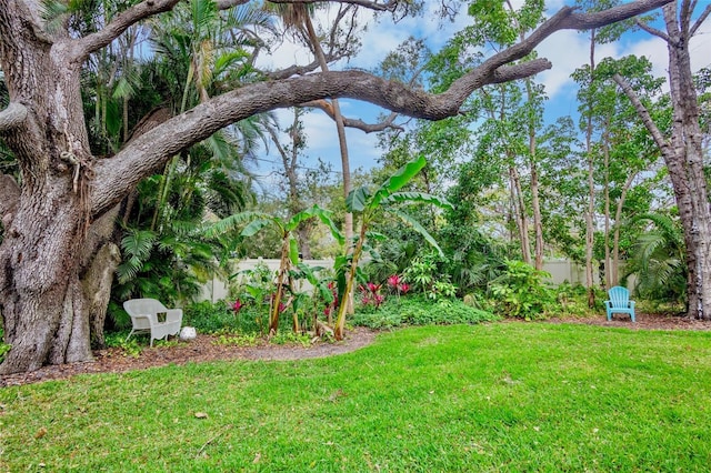 view of yard featuring fence