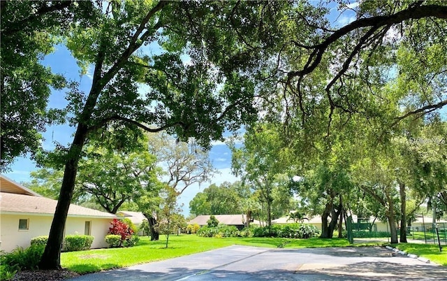 exterior space with a lawn