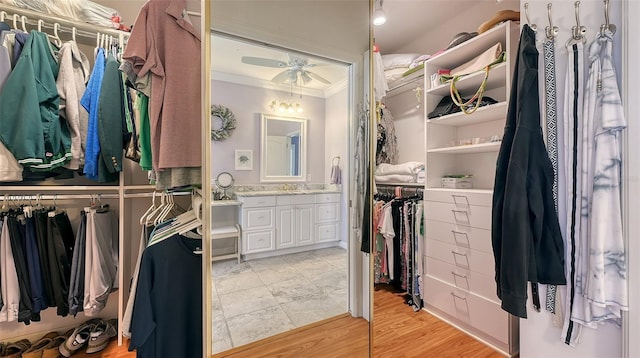 spacious closet featuring light wood finished floors and ceiling fan